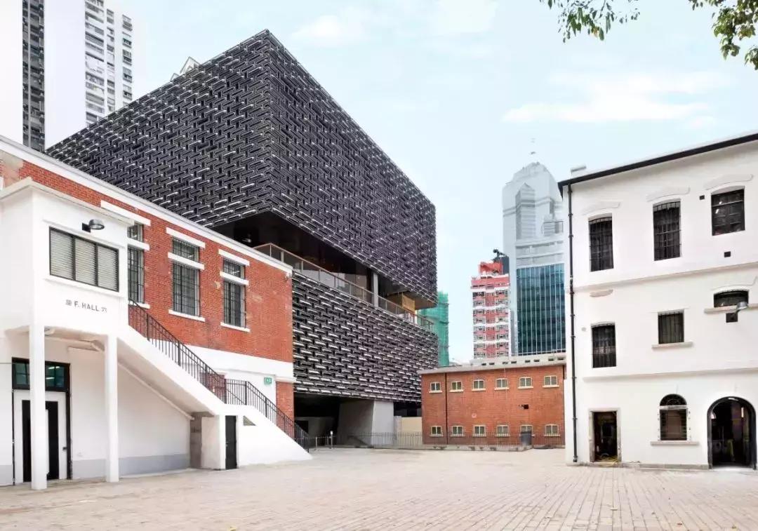 香港自由行遛娃,香港遛娃攻略