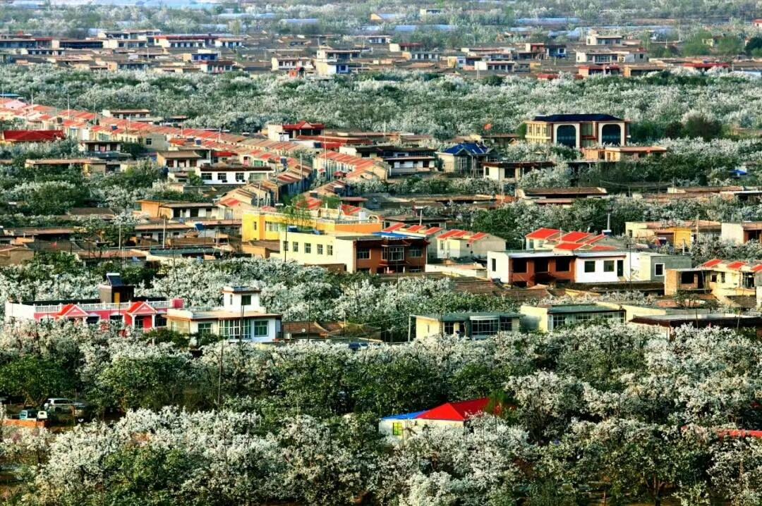 什川鼎尊国际颐养中心,甘肃什川鼎尊颐养中心