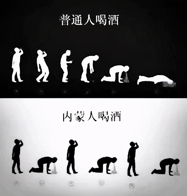 内蒙古河套酒的历史,内蒙河套王是十大名酒吗