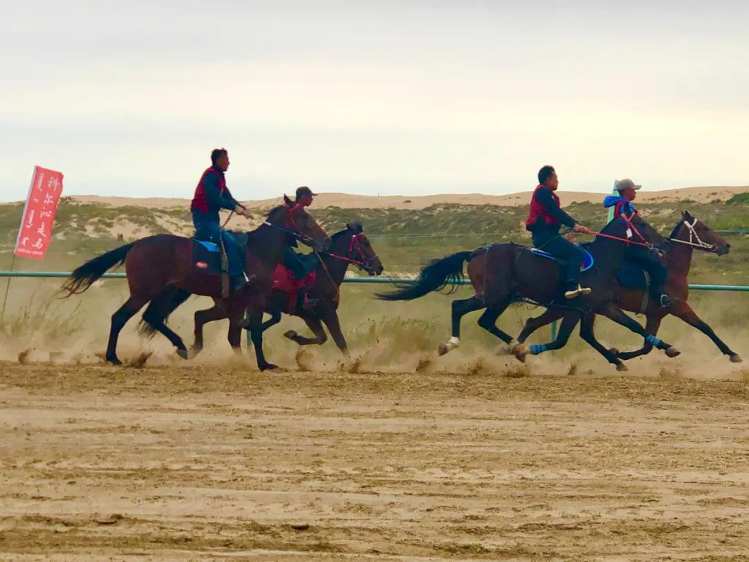 赛马比赛马背上的民族,马背上的民族赛马威武