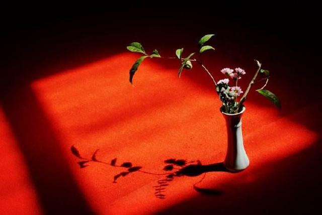 提高财运的口诀四句,发小财靠勤发大财靠命