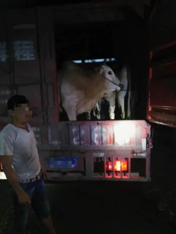 治庸安边警方提醒,治庸安边最新消息