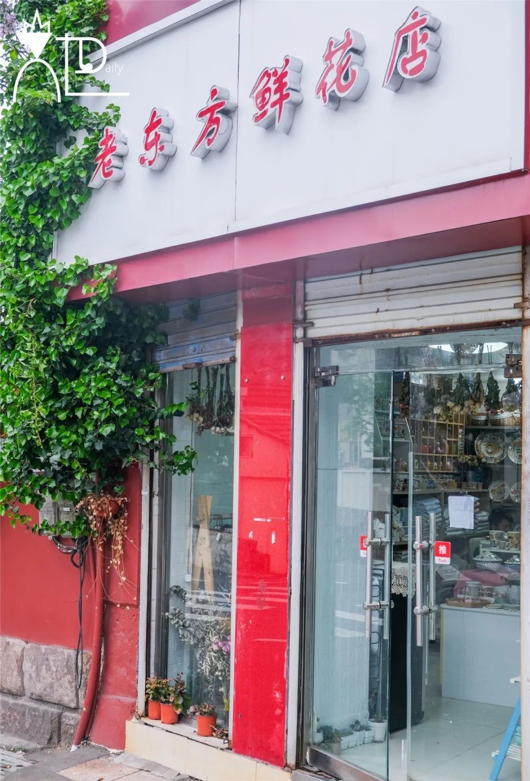 餐具控厨房好物,青岛宝藏陶瓷餐具店