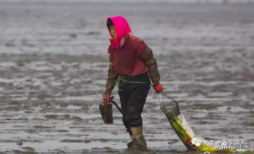 大连庄河赶海排名第一名,庄河赶海网红视频