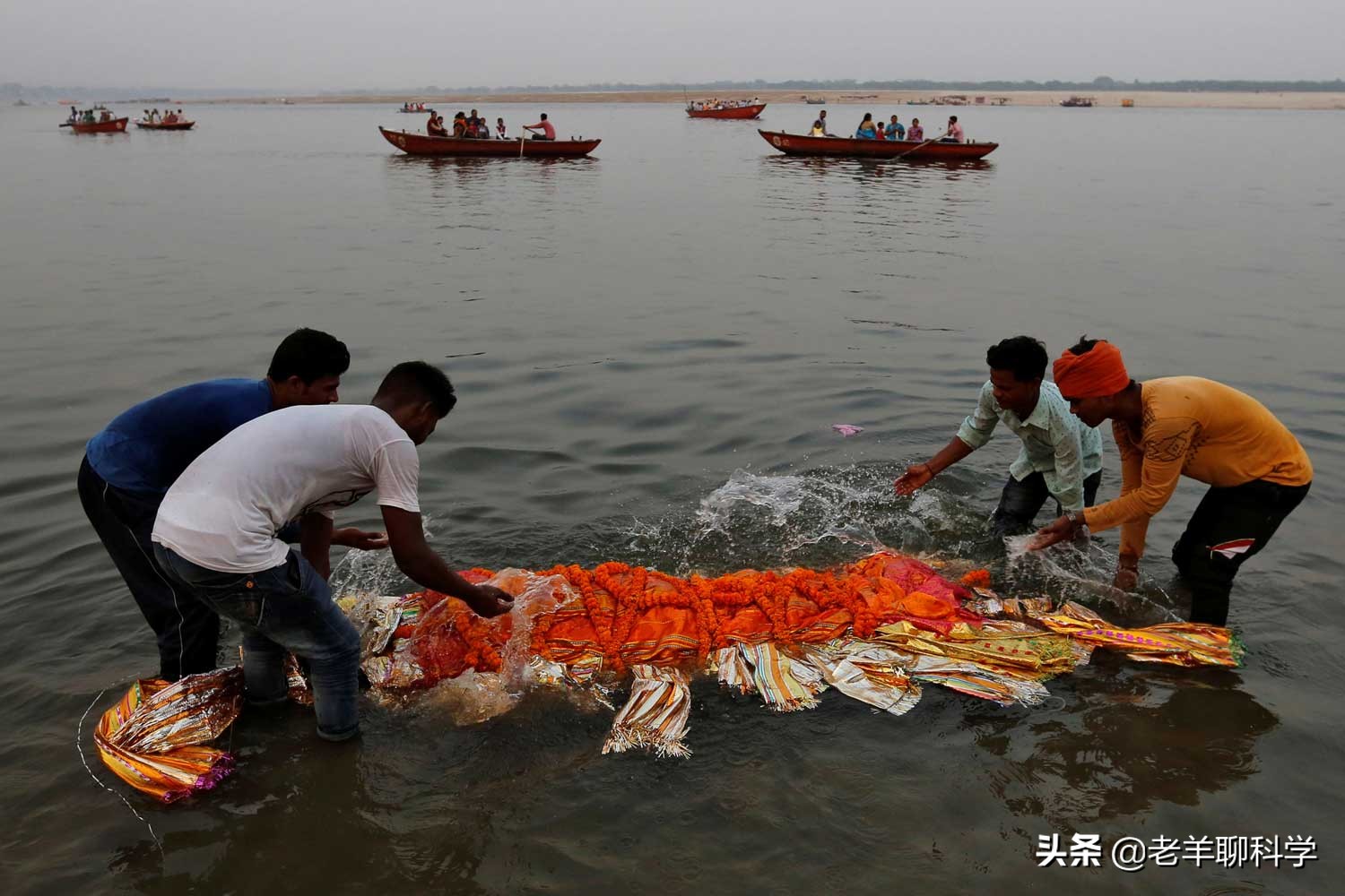 长出白斑！恒河鳖被宠到自然老死而泛滥，中国吃货能解决吗？