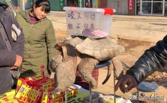 进入3月，农村集市上又将出现1种*局骗**，每年不少人上当，但愿没你