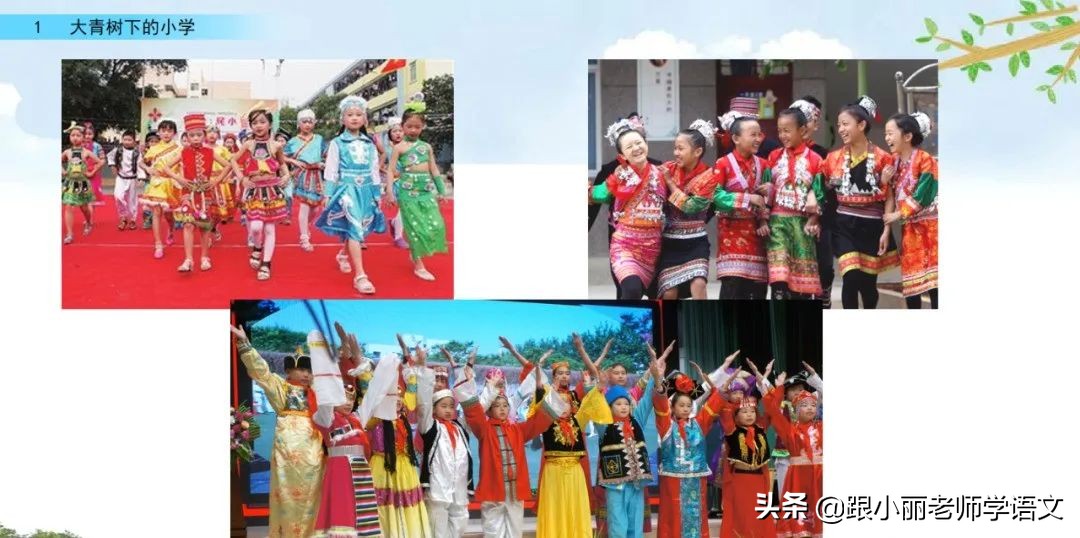 大青树下的小学重点知识点,大青树下的小学重点知识梳理