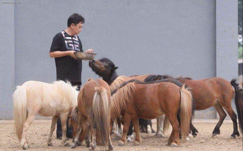 岳云鹏郭麒麟德云一哥组合,岳云鹏郭麒麟无与伦比做客完整版