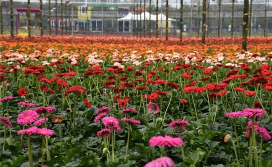 佛山亲子游玩团购推荐,佛山亲子套票一大一小