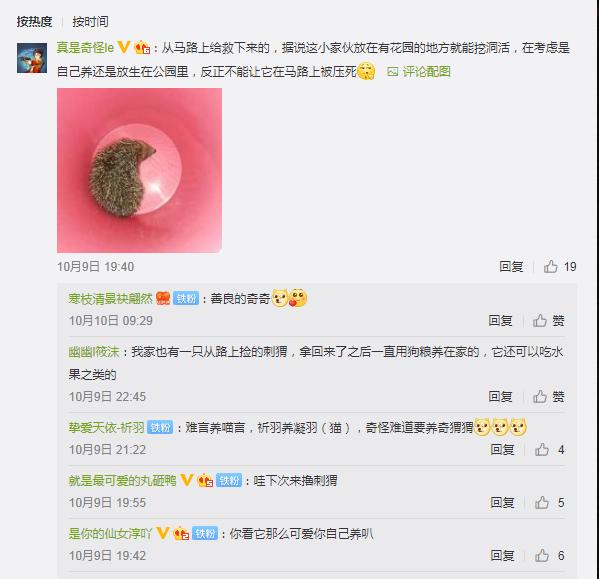 遇到被遗弃的刺猬该怎么办？奇怪君选择了这样做