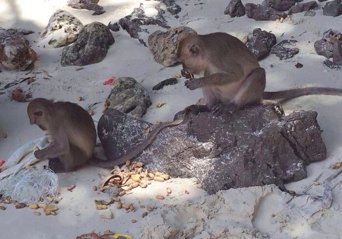 普吉岛8天旅游攻略,泰国5日游曼谷普吉岛