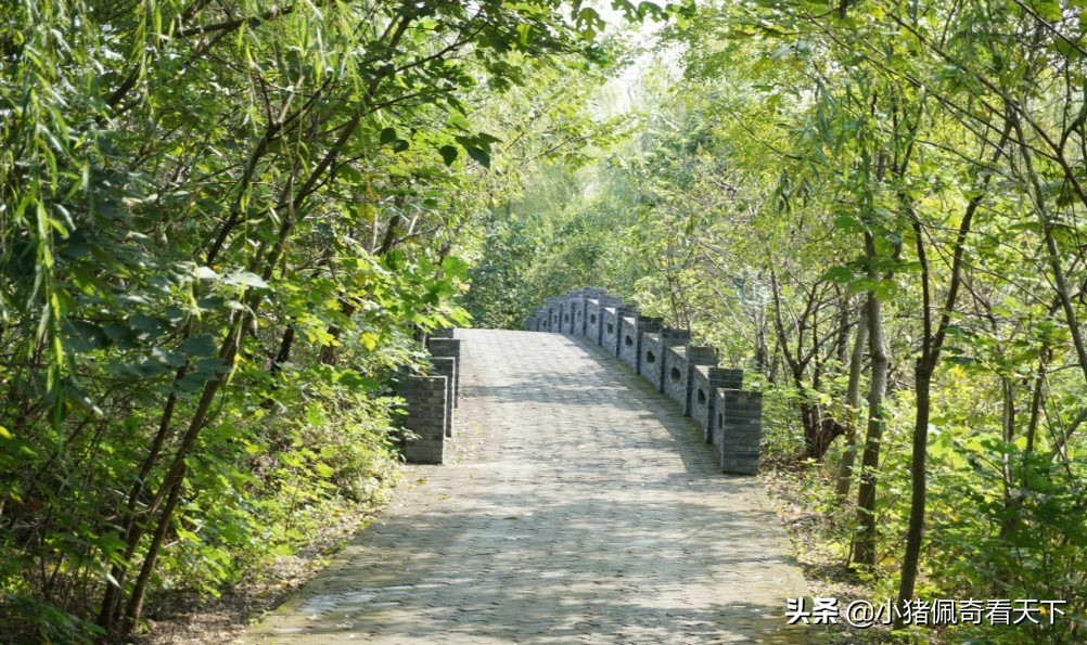 溱湖国家湿地公园晚上好玩吗,溱湖国家湿地公园门票