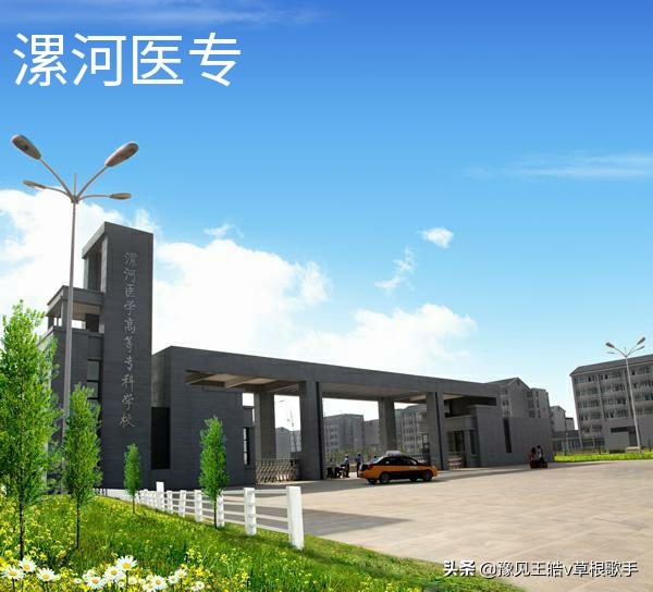 河南几所中医卫校,河南医专升格