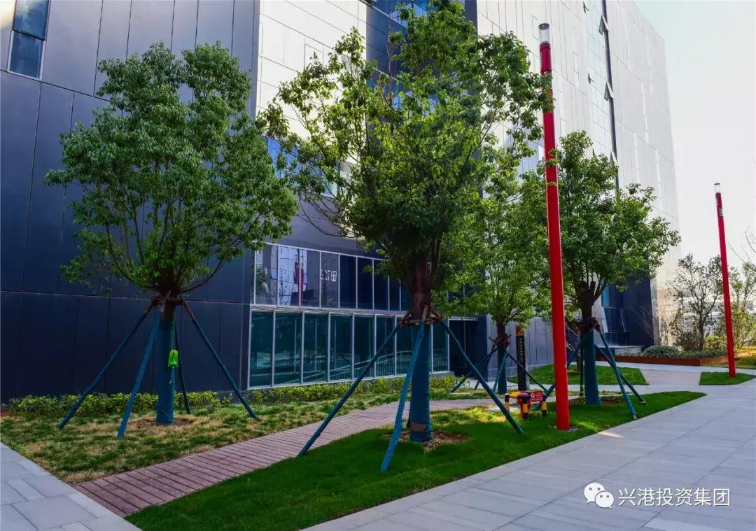 为什么要在新区买房,为什么要在港务区买房