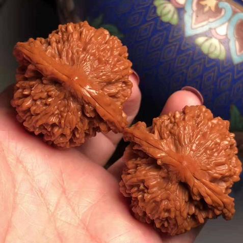 麒麟纹狮子头和王勇官帽区别,怕摔的文玩核桃品种