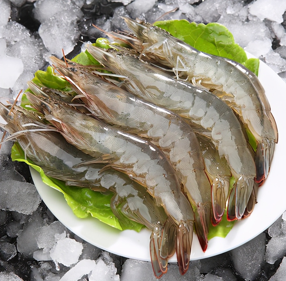 买大虾青的好还是红的好,怎么选大虾的正确方法和技巧