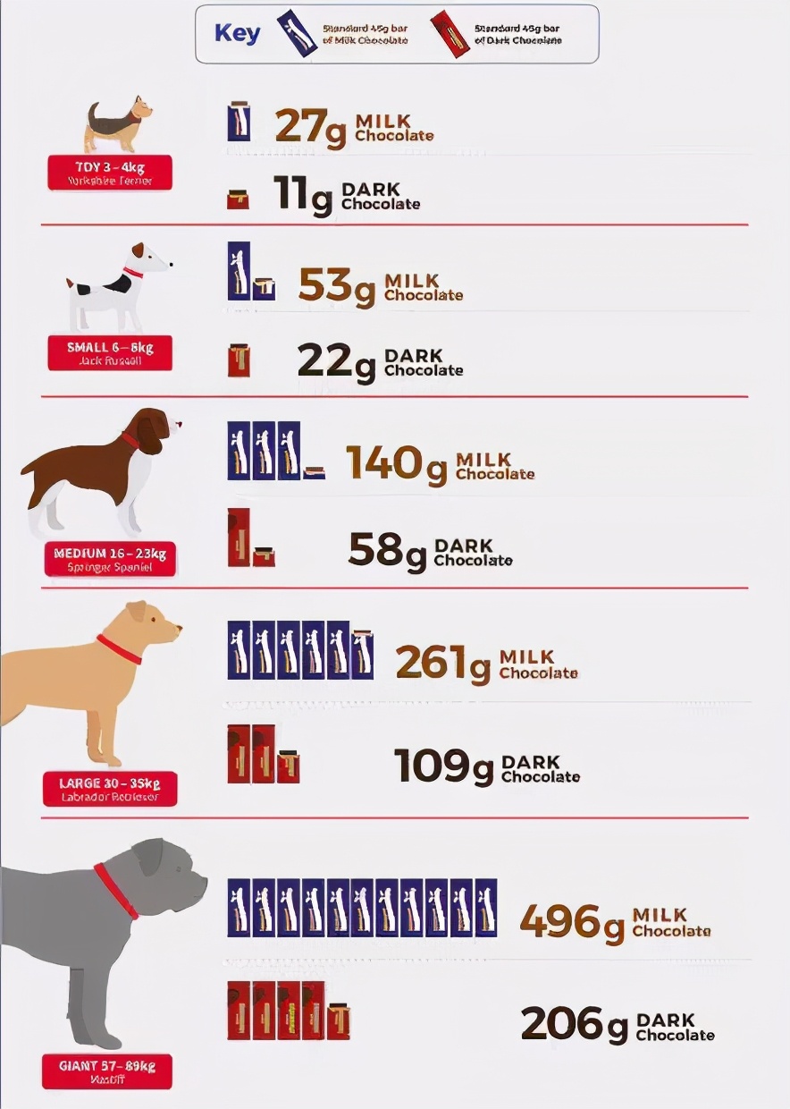 狗吃了巧克力必死么,巧克力有剧毒吗