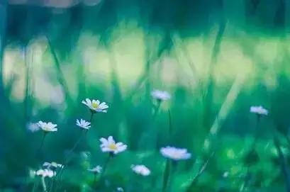 美篇里的优美文字,美篇里写作素材哪里找