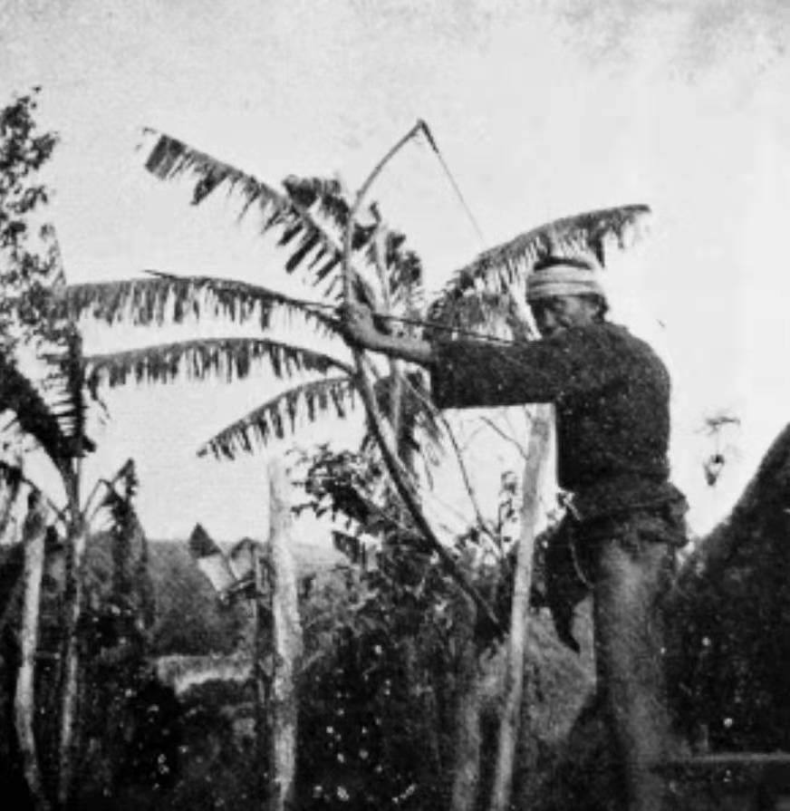 海南远古人类生活,海南古代黑历史