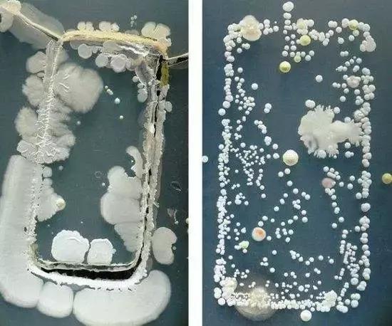 公共厕所的马桶会传播疾病吗,公共厕所马桶会传播艾滋病毒吗