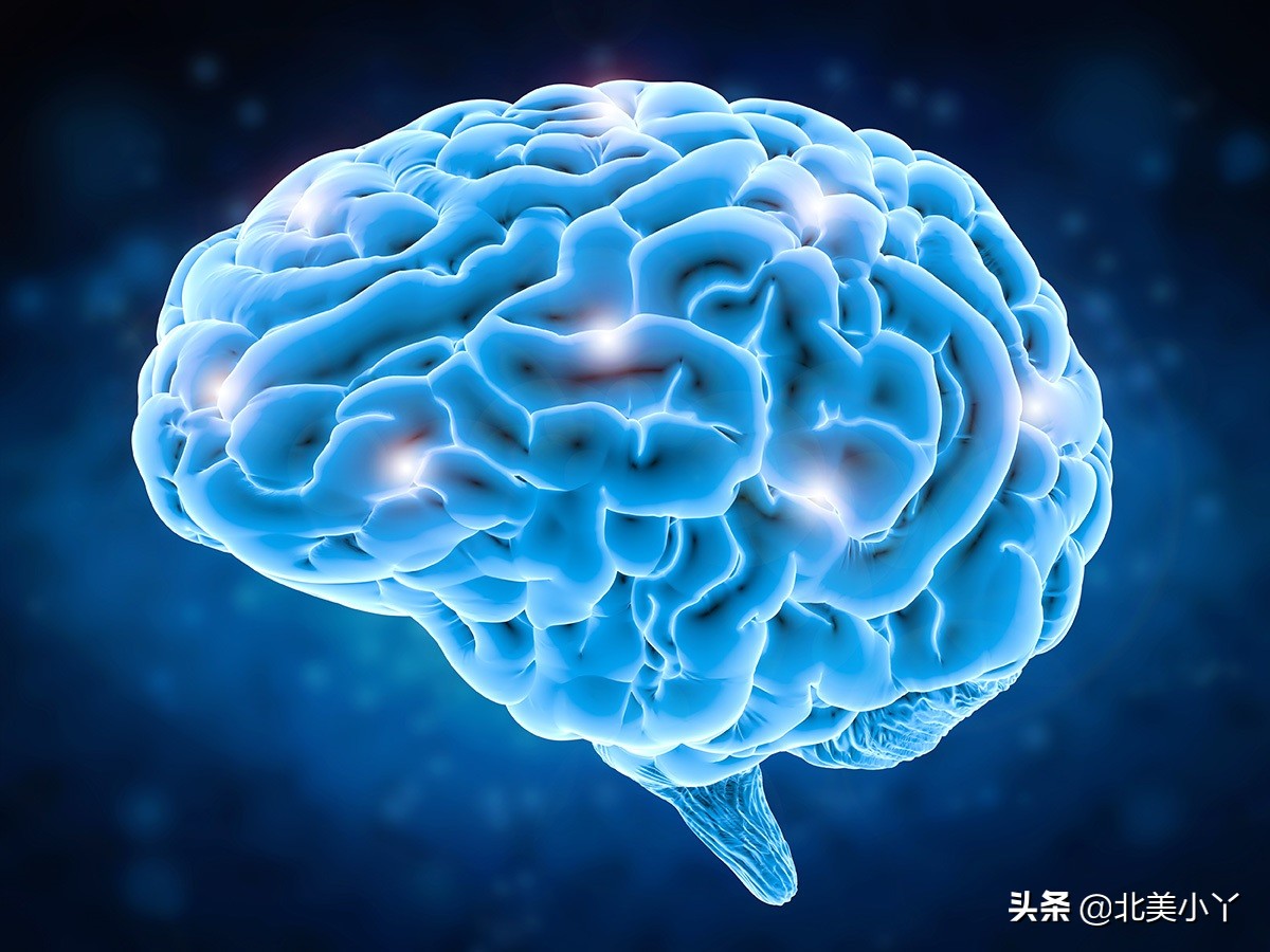 什么是失读症,什么是失读症和失写症