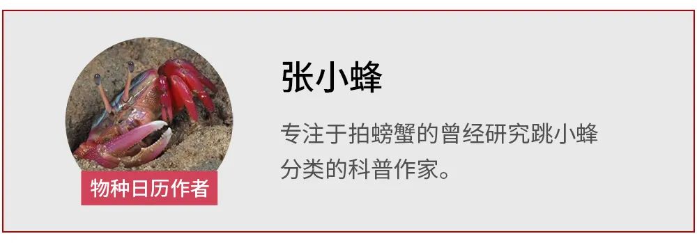 吃螃蟹会有寄生虫进入大脑吗,吃螃蟹会造成病毒感染吗