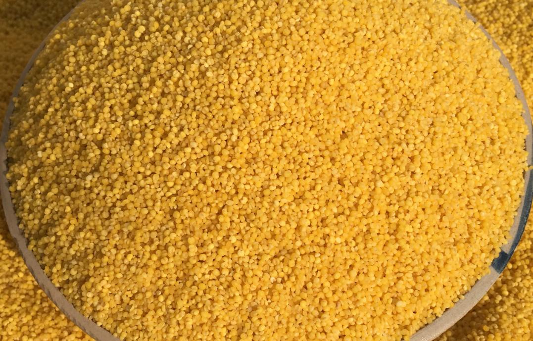 黄小米适合哪类人吃,黄小米的功效有祛湿作用吗