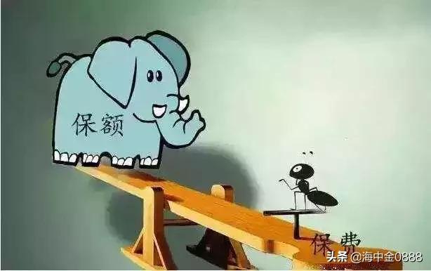 保险的意义与功用十大价值,保险的意义与功用演讲