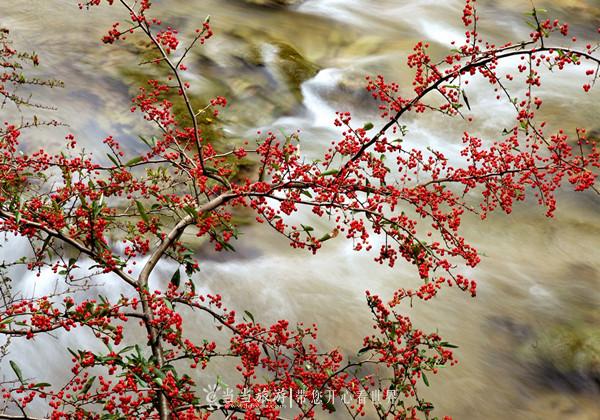 湖北郧西五龙河美景,湖北郧西五龙河风景区一日游