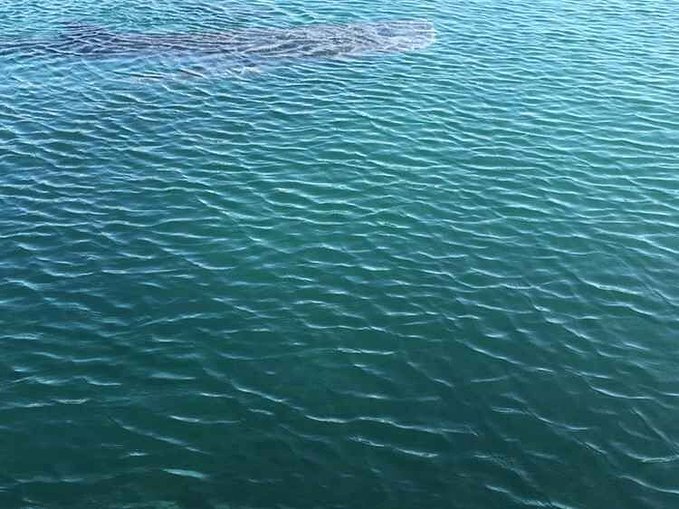 给自己一个度假的理由海南三亚,三亚度假的天堂