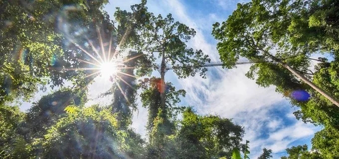 生活在西双版纳其实就是一种幸福,生活在云南幸福吗