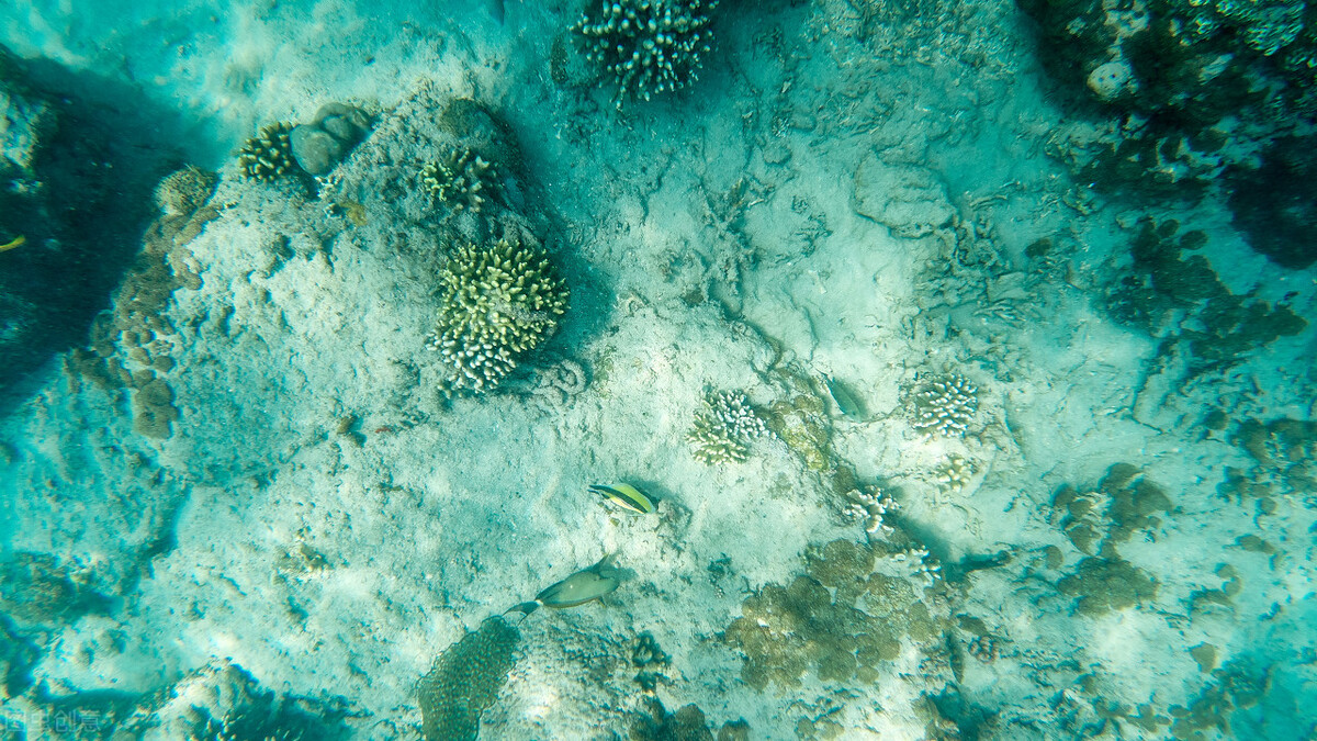 南极终极秘密4000米冰层下的天线,南极神秘的秘密