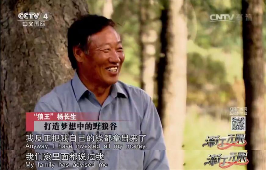 养狼20年养成二哈,养狼养二哈