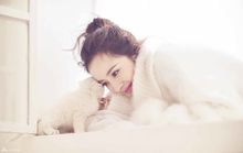 杨幂的个人经历,杨幂的经历