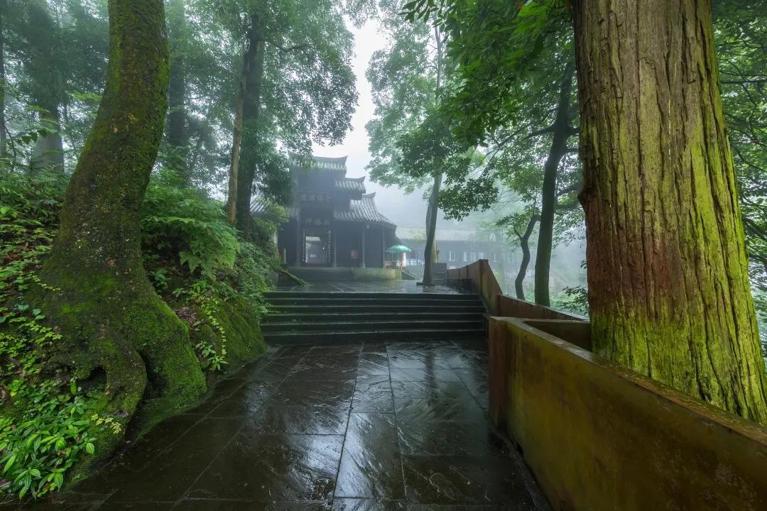 峨眉十大网红打卡地,峨眉网红打卡景点