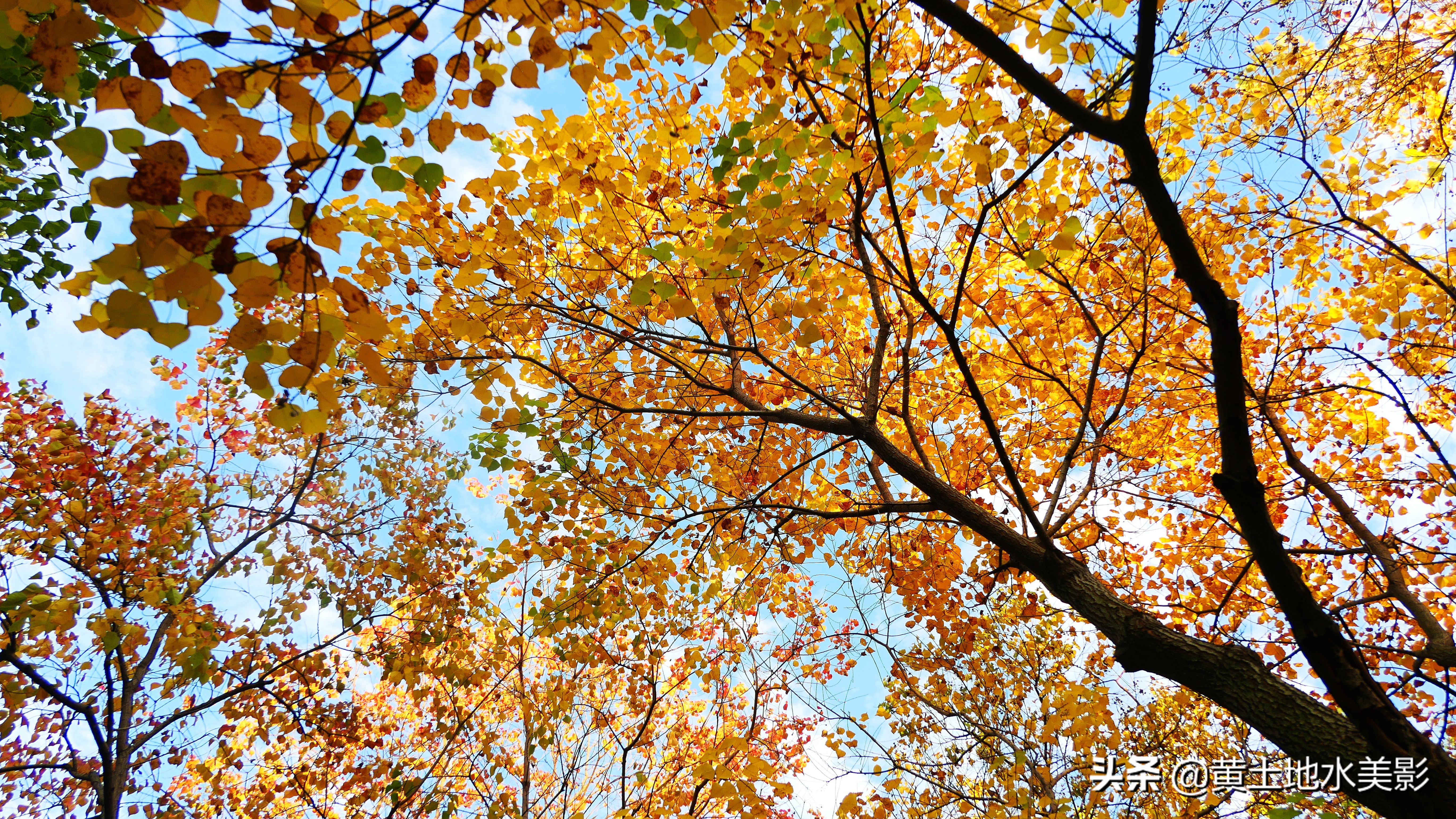 占地590亩的湿地公园,野生动物比较多的旅游景区