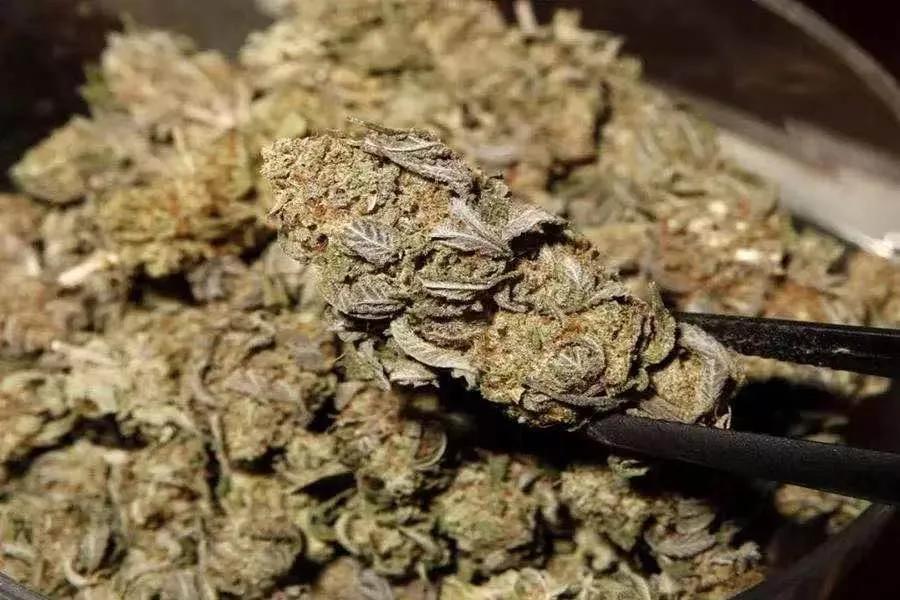 糊涂！为缓解焦虑抑郁，揭西一少年竟敢网购此物……