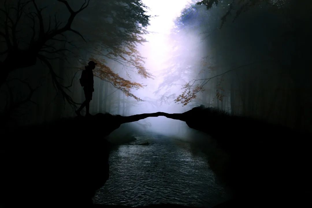 当你遇到人生困境时怎么解决,当你陷入困境时应该怎么做