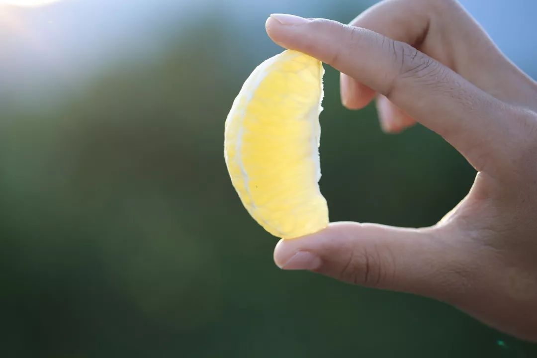 褚橙怎么样值得买吗,褚橙在哪买