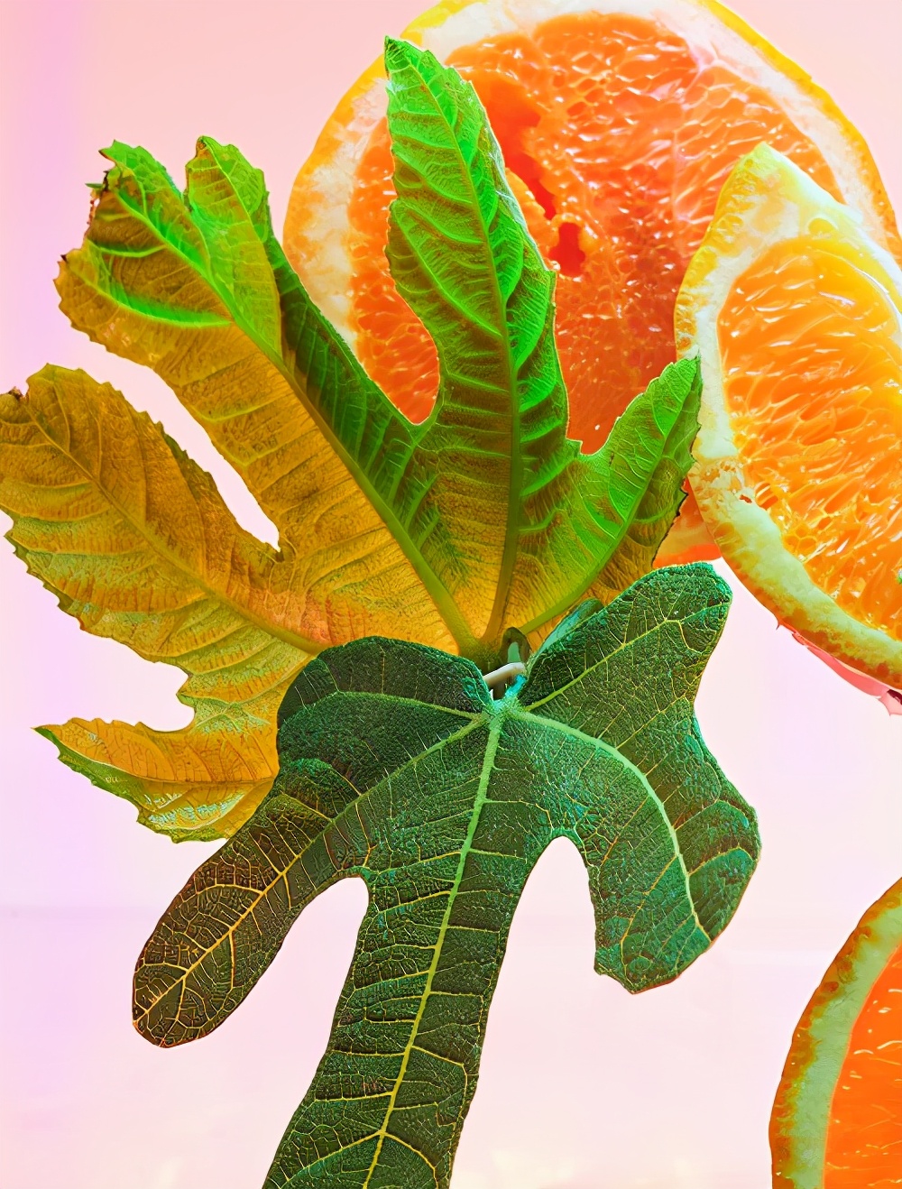 宝格丽繁晶女士香水彩色,宝格丽色彩缤纷香水