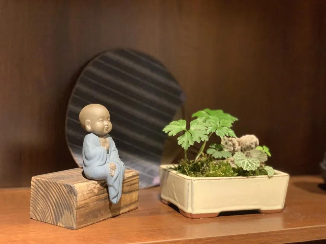 用阅读触摸成都｜在成都不能错过的10家书店（下）