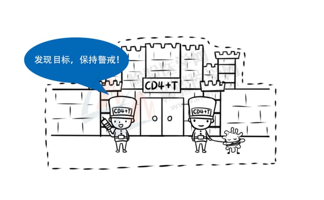 艾滋病毒入侵全过程传染途径,艾滋病病毒全部侵入人体的过程