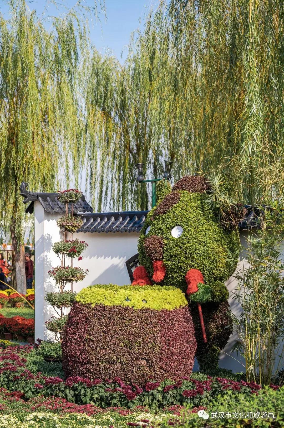 菊花烂漫,赏菊花汉口江滩打卡