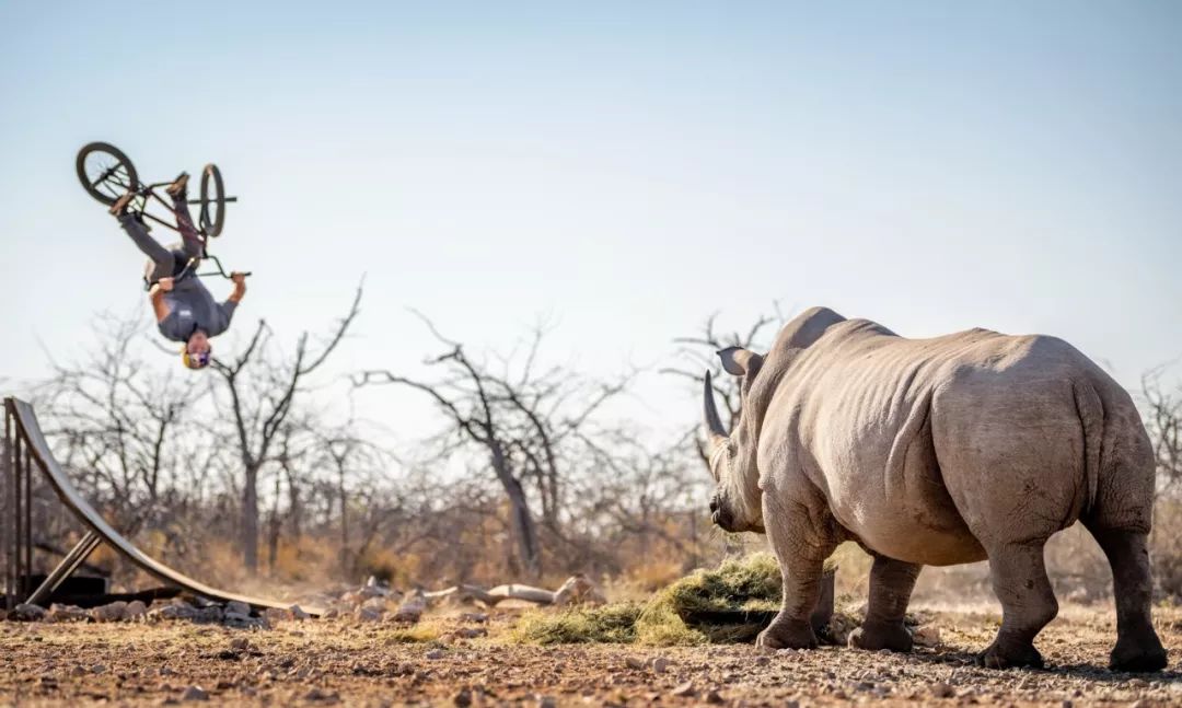 速度与激情特别行动摄影技术,速度与激情的绝美镜头