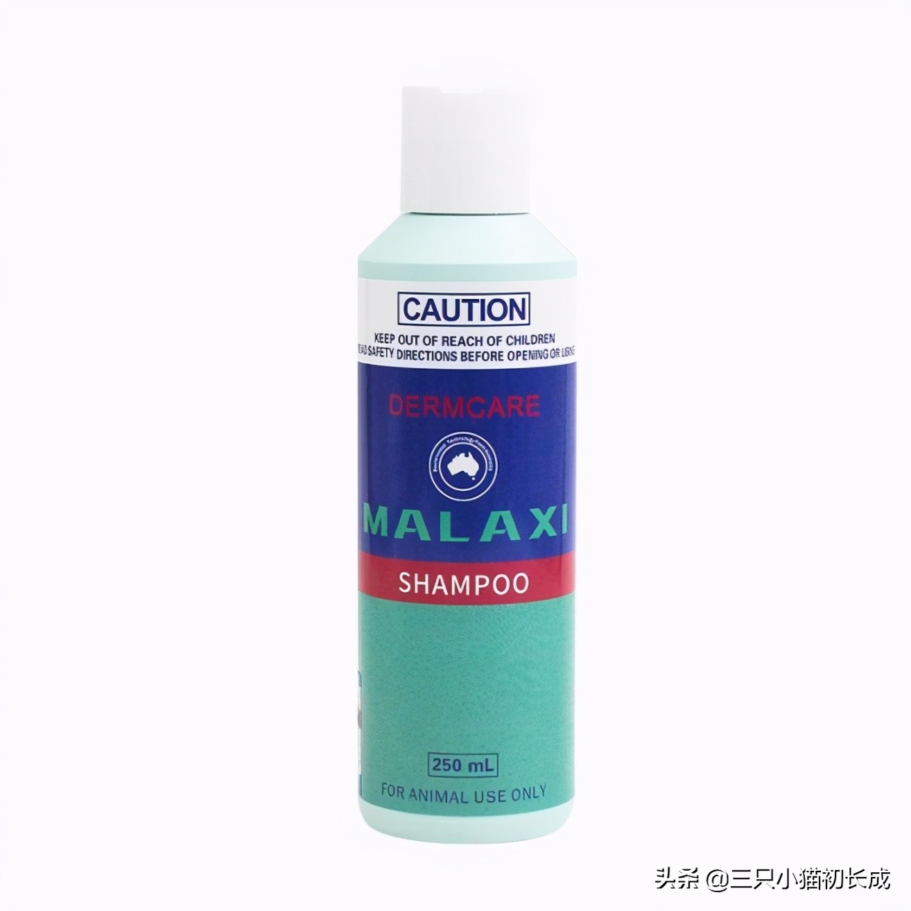猫癣不治疗特别吓人,猫癣可怕不
