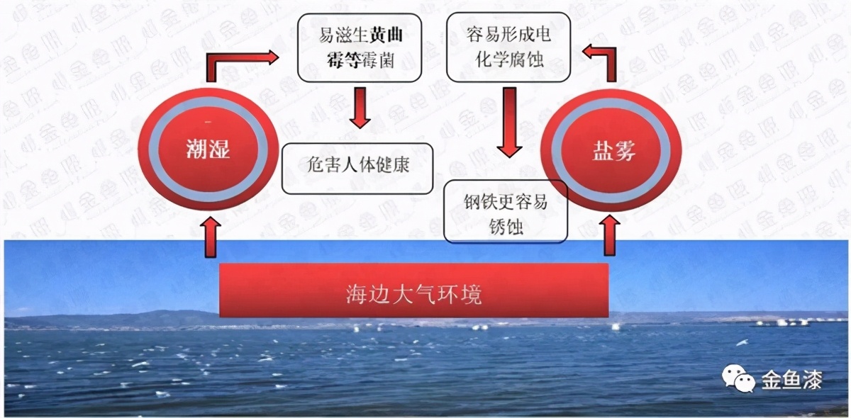 金鱼涂料介绍,金鱼漆外墙仿石漆