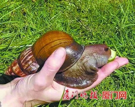 福建结核病,生活中哪些会传播结核病