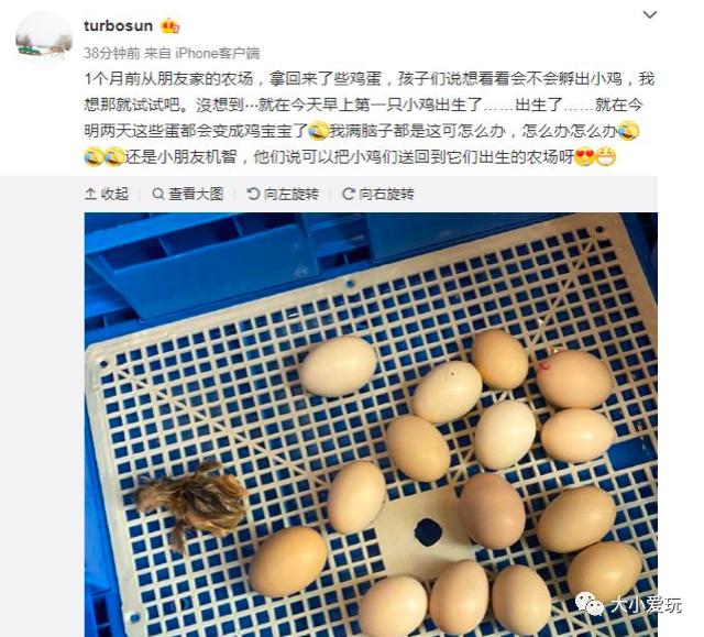 快让爱玩虫子的女儿逼疯了！孩子喜欢“恶心“的小动物怎么破