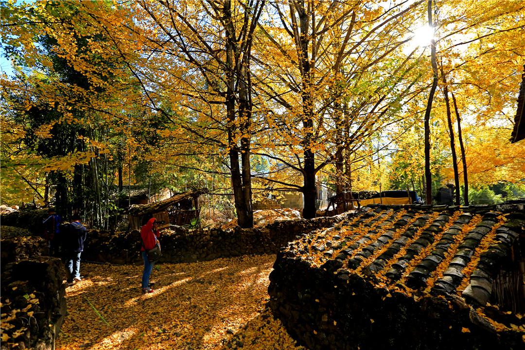 腾冲精品旅游,魅力腾冲旅游