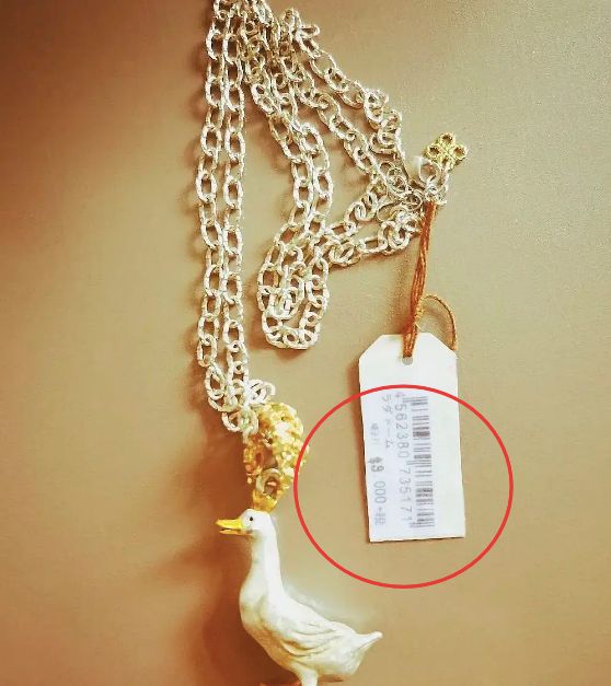 惊了！她到底是有多缺钱啊？